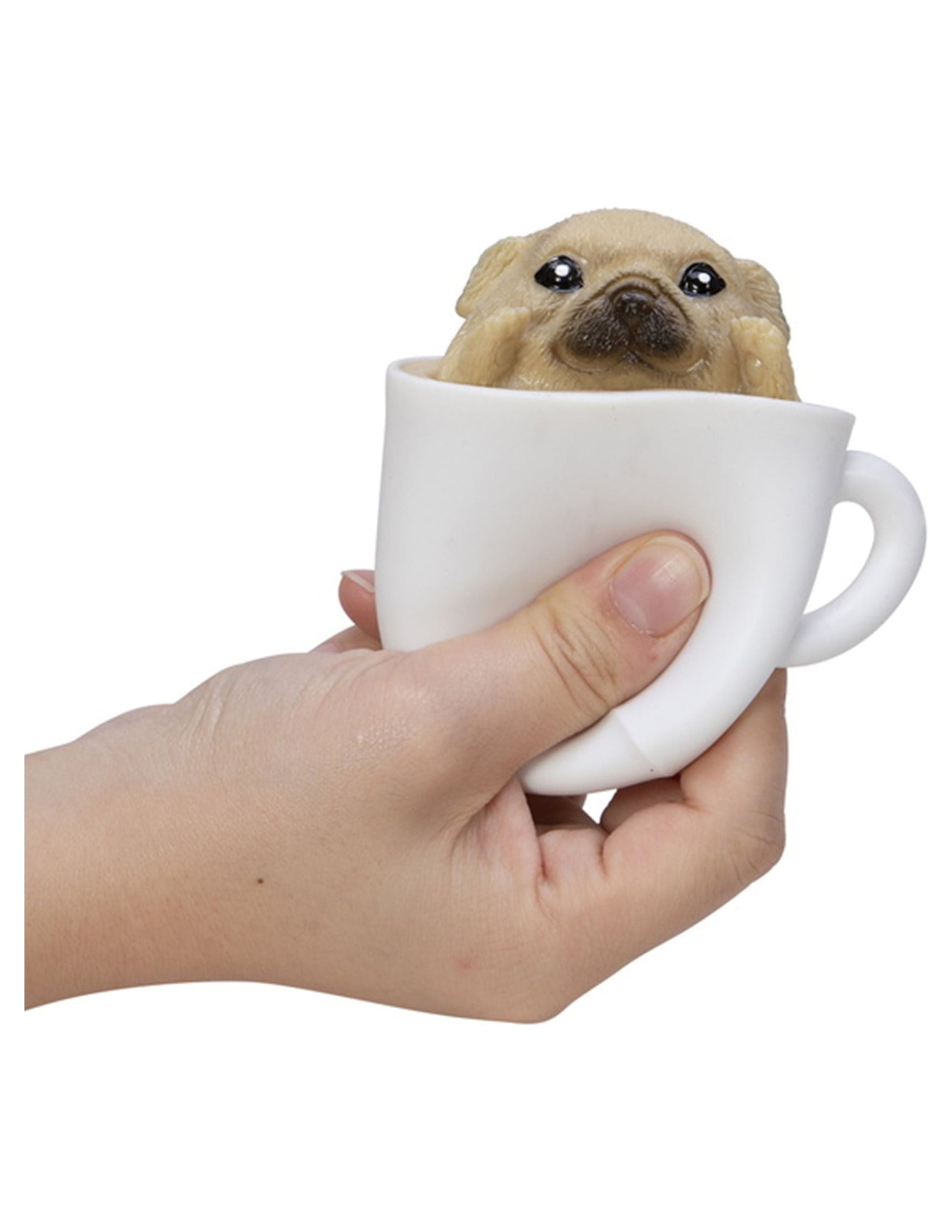 NeeDoh Pup in a Cup Fidget Toy Assorted